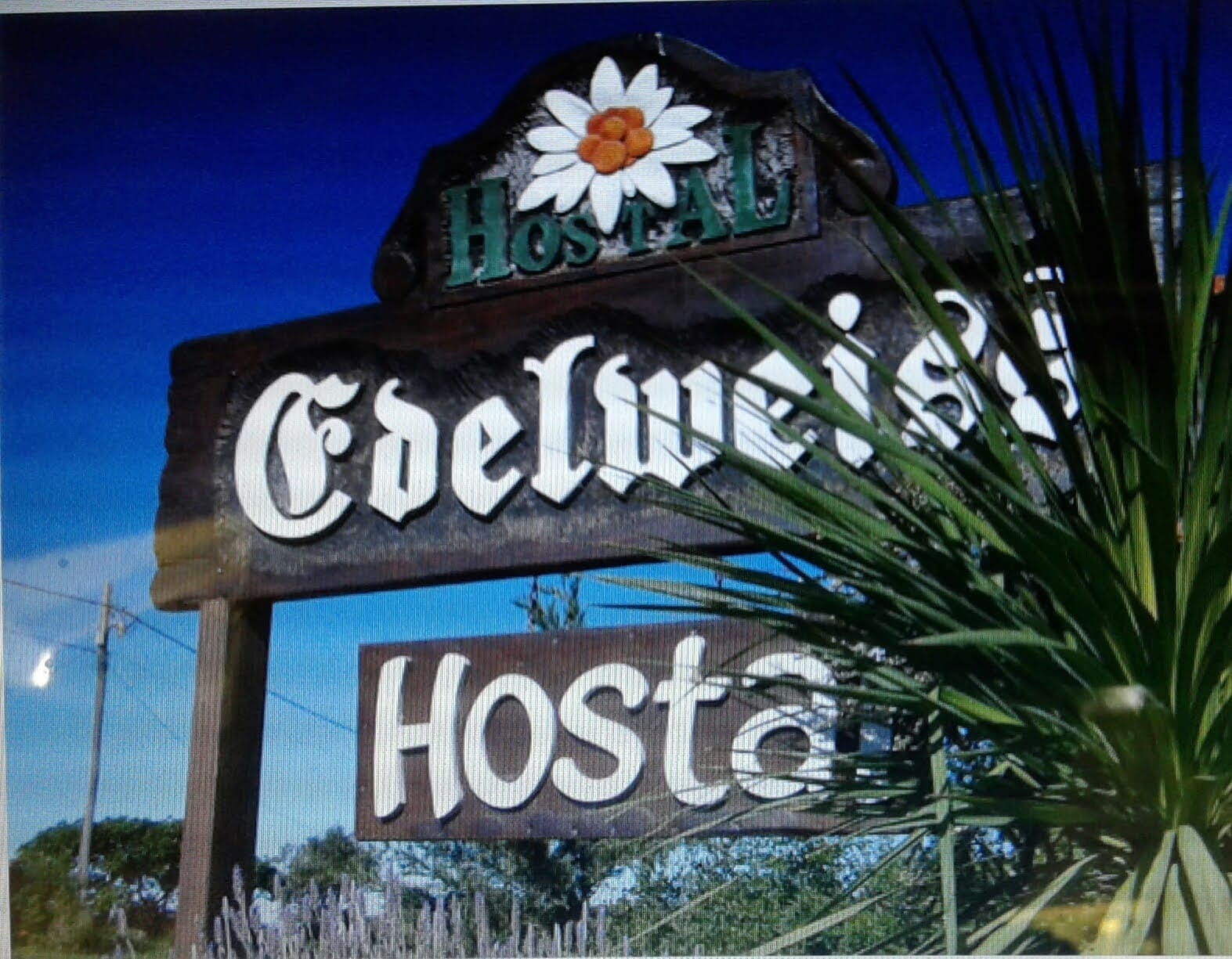 WhatsApp Image 2025-05-16 at 16.30.13.jpeg